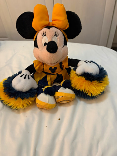 Walt disney world - world, mouse