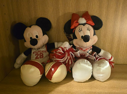 Disney world mickey minnie - &,